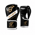 Titan Pro Boxing Gloves